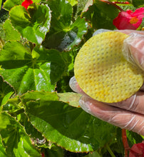 Load image into Gallery viewer, Fresh face & body pads